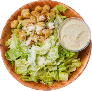SEZAR SALATA